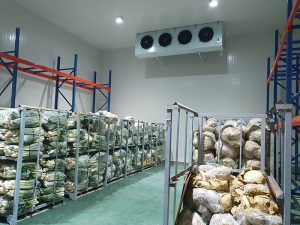 kho đông lạnh thực phẩm